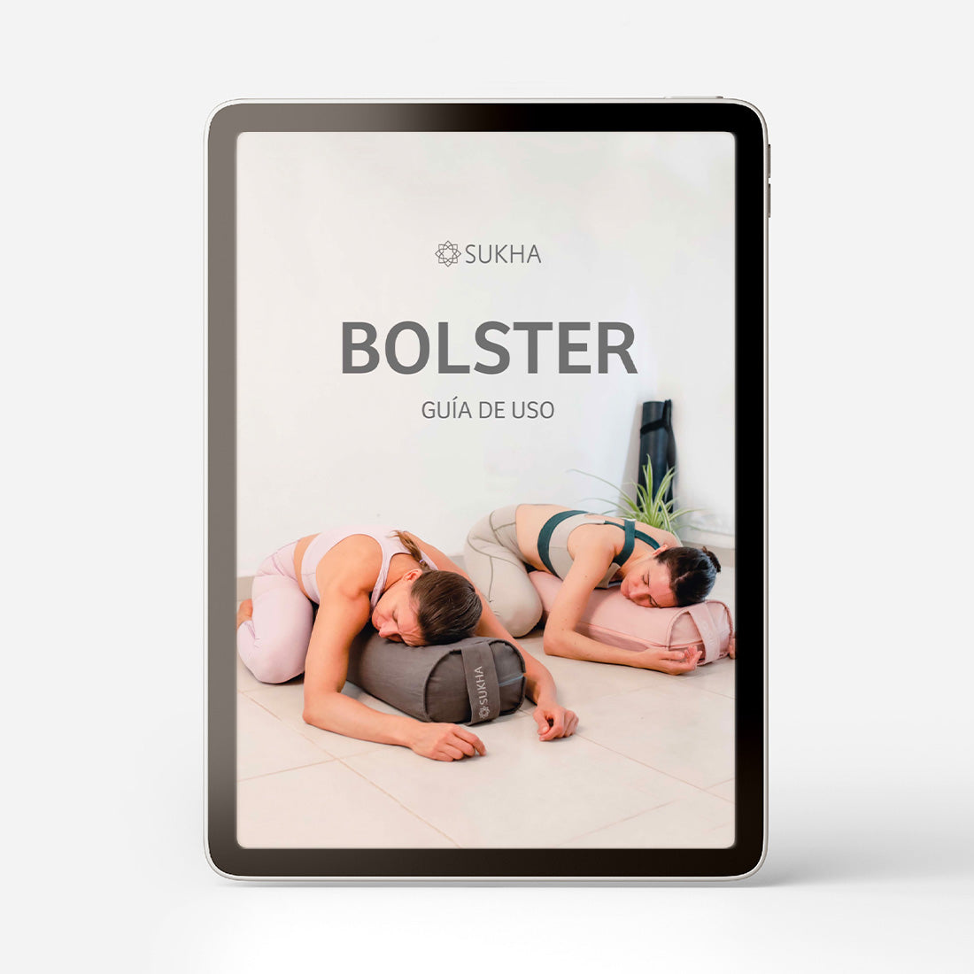 Ebook Bolster